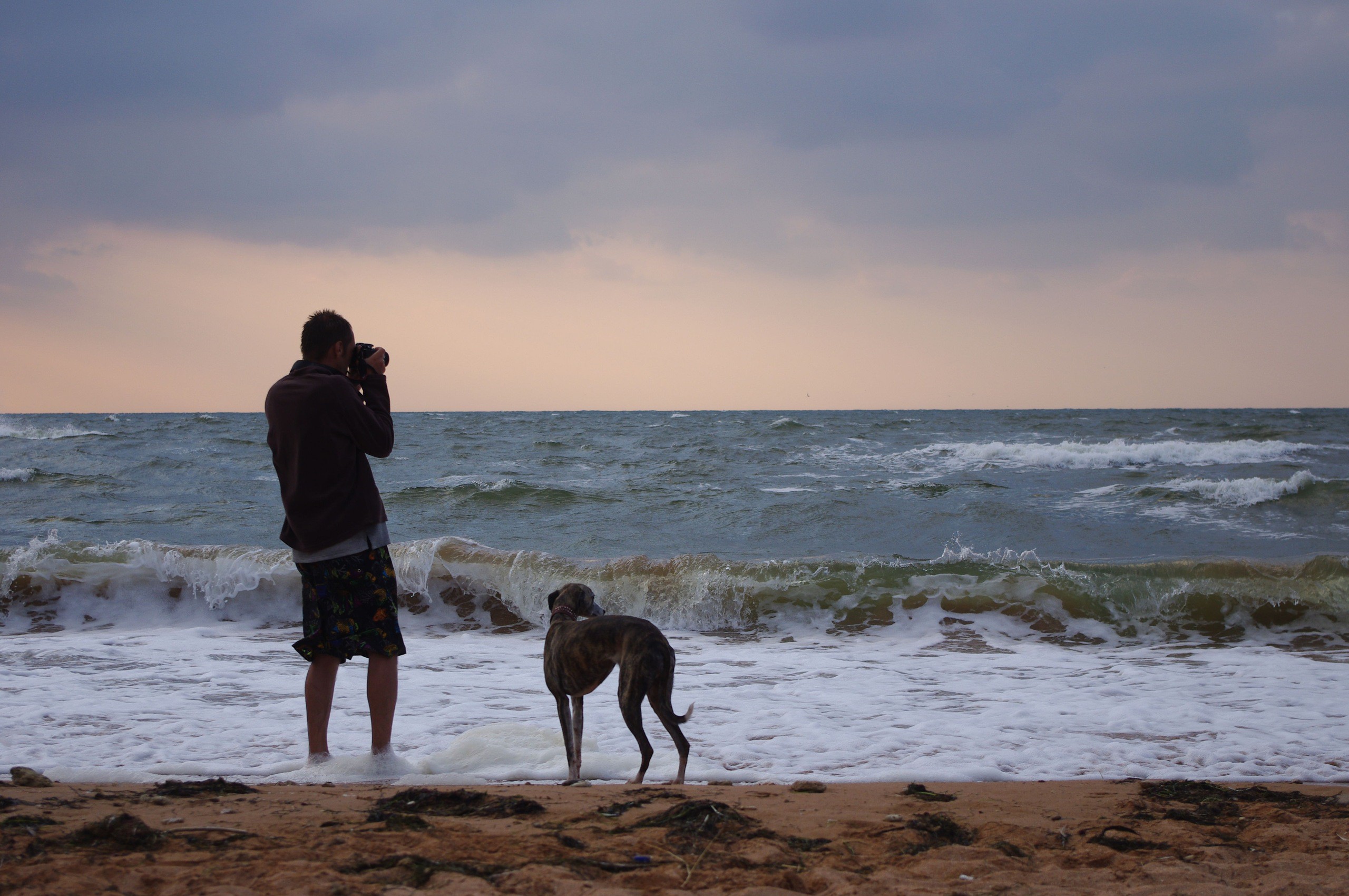Человек с собакой на море