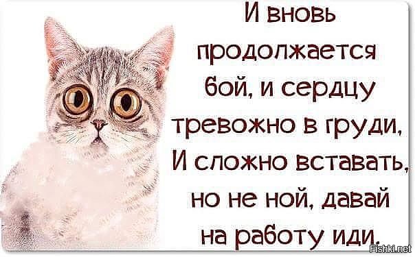 С добрым утром пора на работу картинки приколы