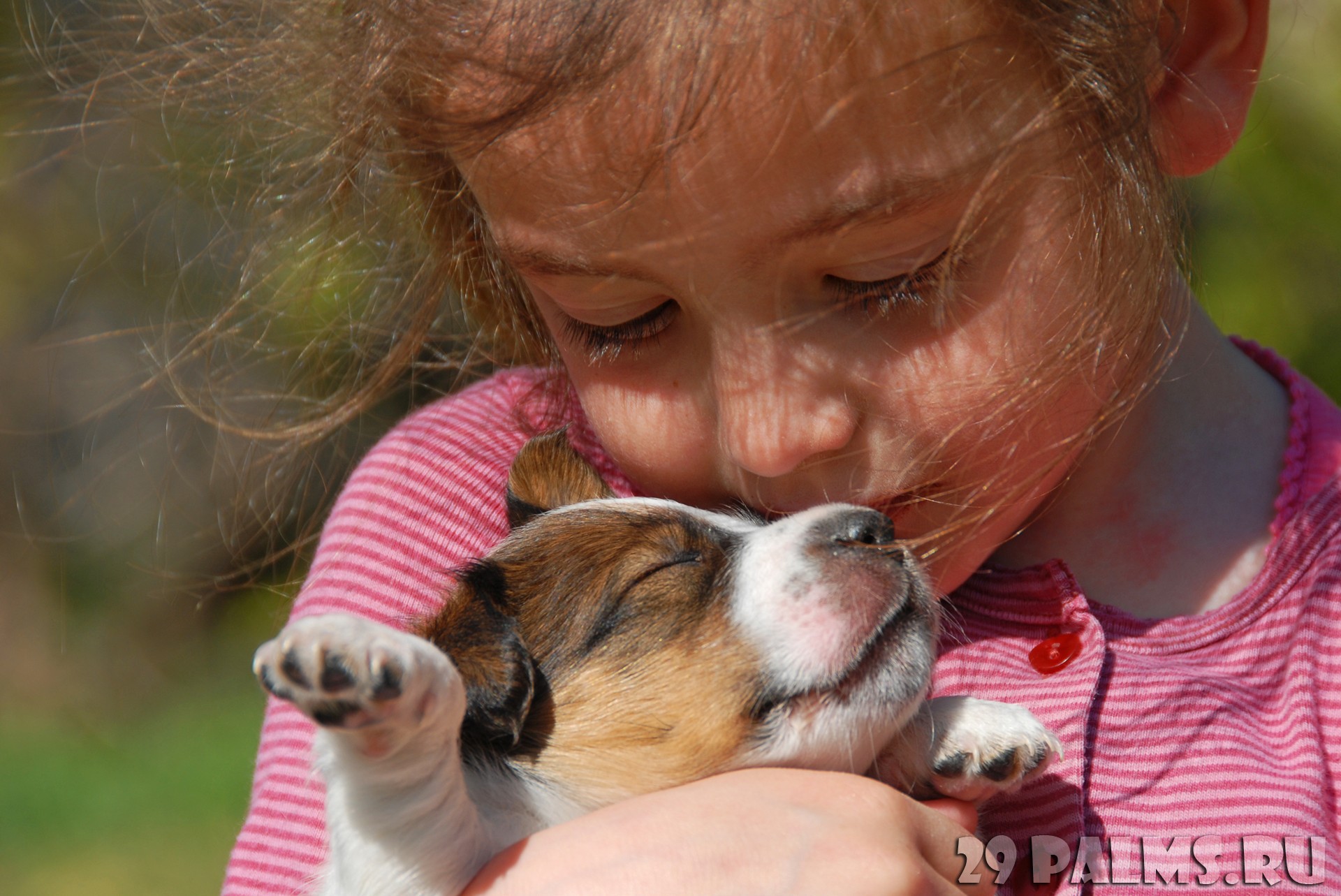 Мама пайраза доброта. Любовь к животным. Дети и животные доброта. Любовь детей и животных. Для детей. Животные.