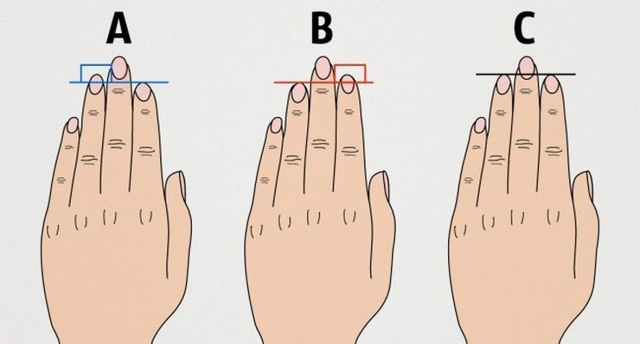 Тест большого пальца. Характер по длине пальцев рук. Хиромантия форма пальцев. Характер по пальцам рук. Длина пальцев рук значение.