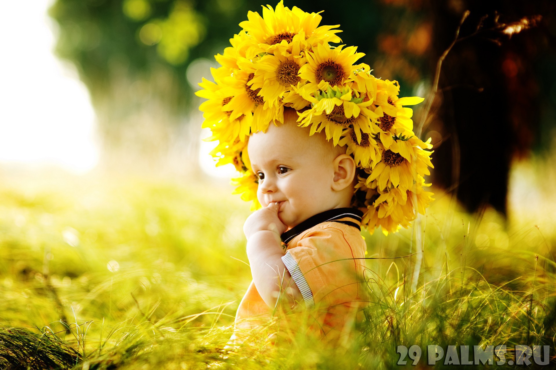Мама солнышко мое я подсолнушек ее. Дети с цветами. Дети солнца. Дети цветы жизни. Солнце дети радость.