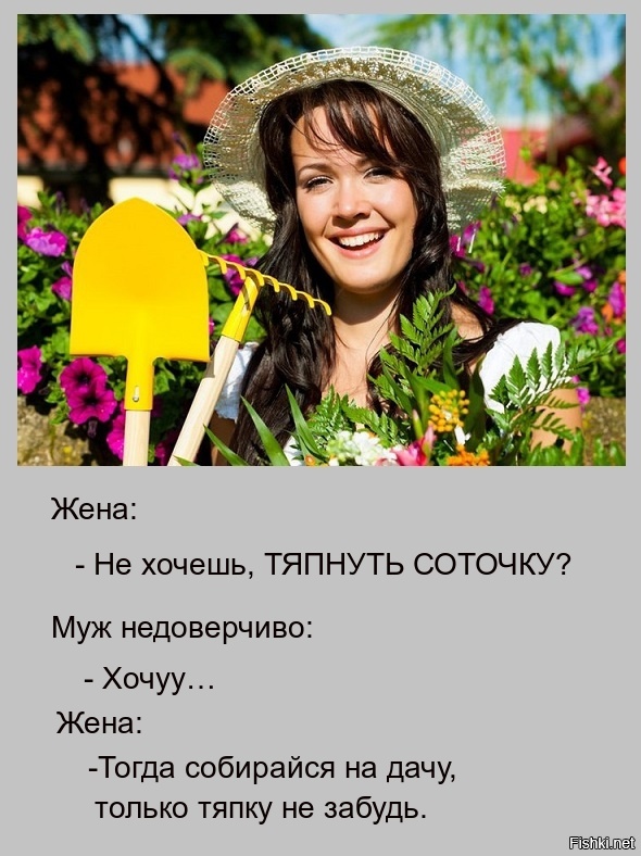 Уже тяпнула где то картинка