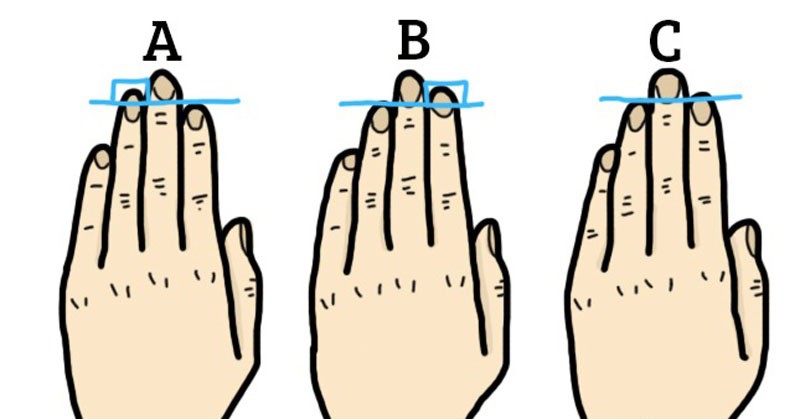 Форма пальцев на руках о чем говорит с картинками