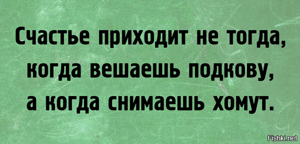 Счастье приходящее. Счастье придет. Счастье приходит не тогда когда вешаешь подкову. Счастье не приходит. Счастье приходит не когда вешаешь подкову а когда снимаешь хомут.