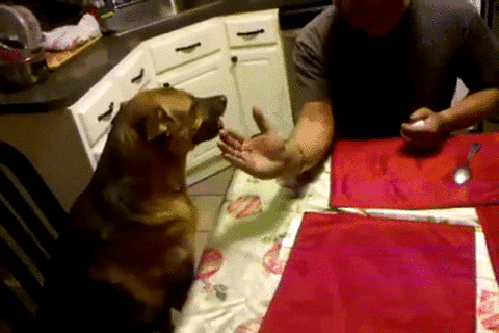 -Давай?! -А давай!