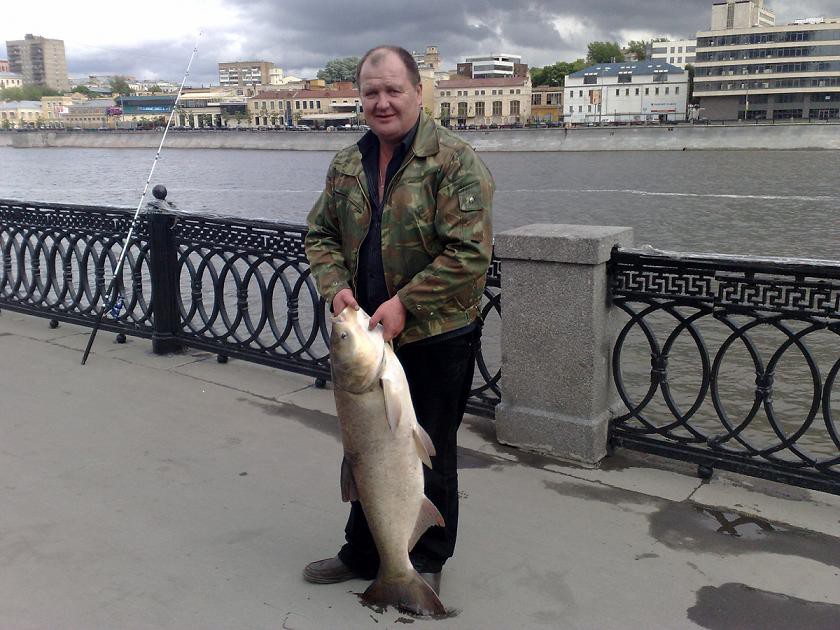 Где поймать налима в реке Москве?