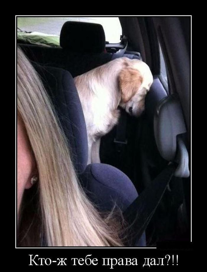 Подборка демотиваторов 