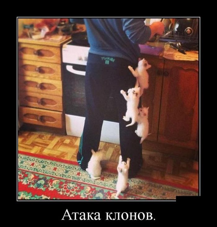 Подборка демотиваторов 