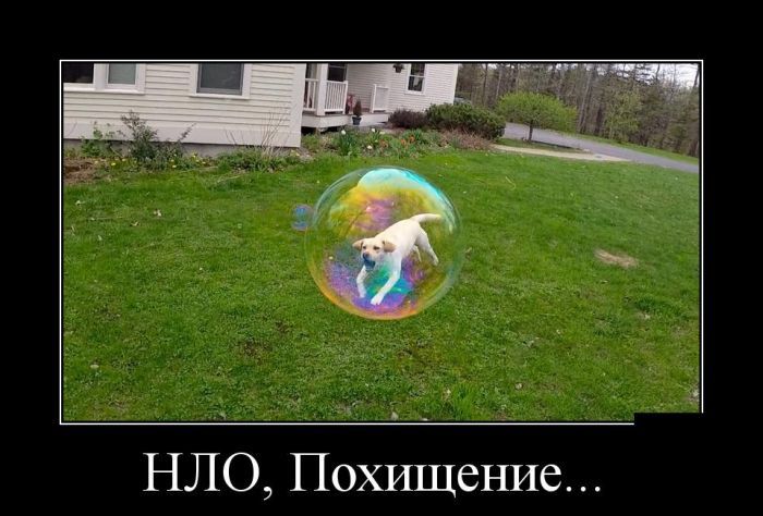 Подборка демотиваторов 