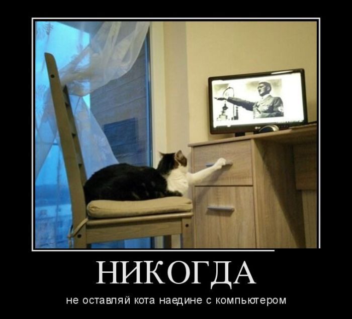 Подборка демотиваторов 