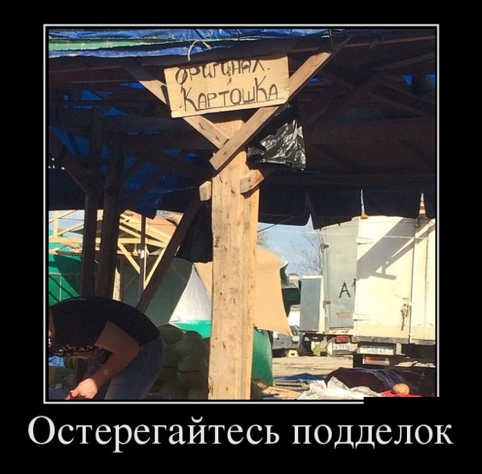 Подборка демотиваторов 