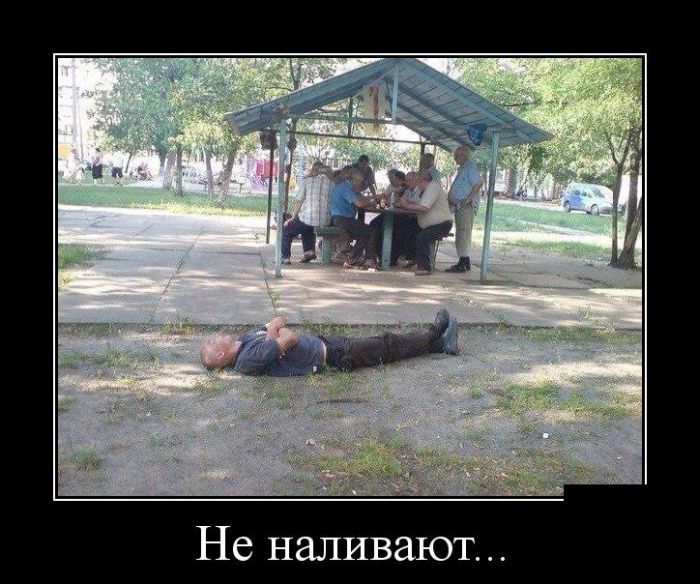 Подборка демотиваторов 