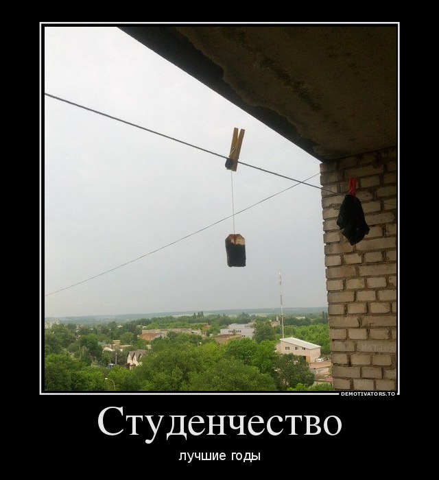 Подборка демотиваторов 