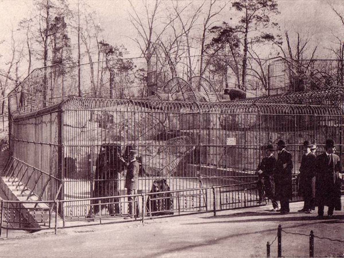 Кем организован московский зоосад в 19 веке. Первый в мире зоопарк 1793. Человеческий зоопарк в Нью-Йорке 1906 год. Зоопарк Лондона 19 век. Московский зоопарк 19 век.