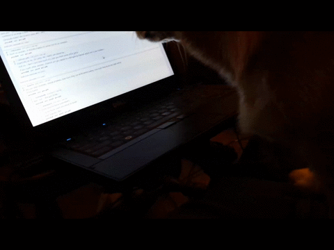 Застали за чтением