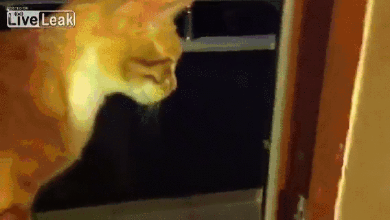 Животный инстинкт