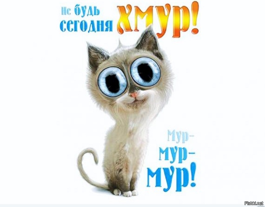 Мур это. Доброе утро Мур. Открытка Мур Мур. Мур котик. Доброе утро мяу.