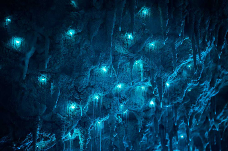 Удивительная подборка фотографий, сделанных в пещере Новой Зеландии