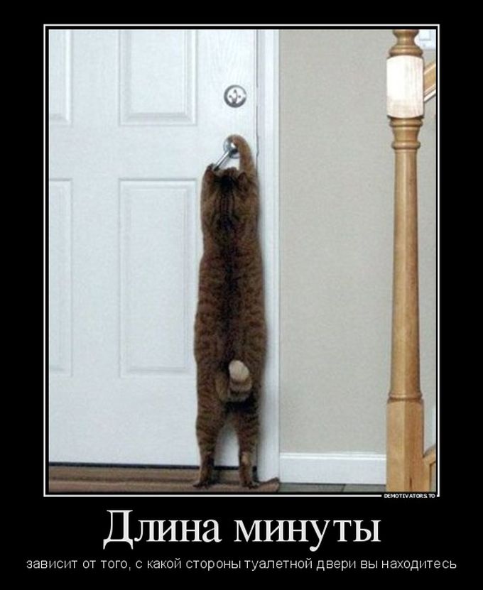 Подборка демотиваторов 