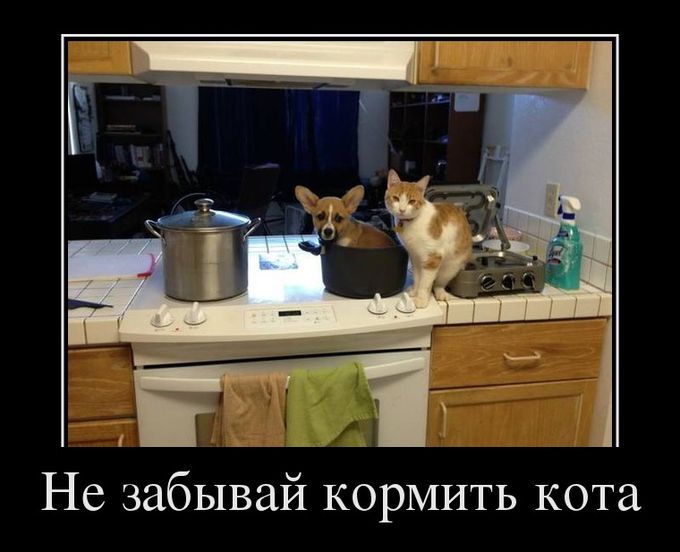 Подборка демотиваторов 