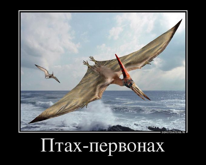 Подборка демотиваторов 