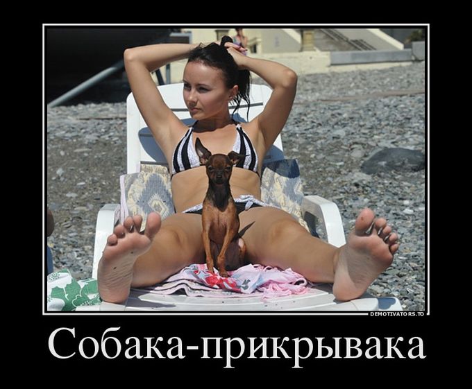 Подборка демотиваторов 