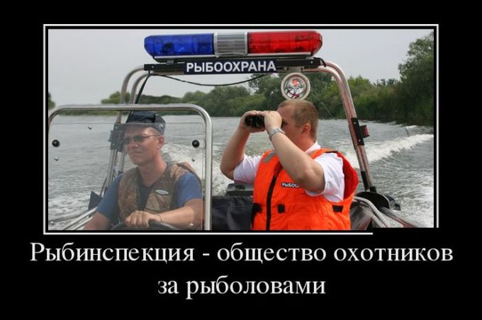 Подборка демотиваторов 