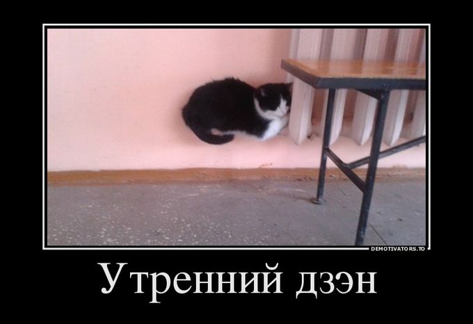 Подборка демотиваторов 