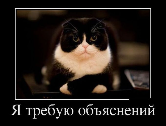 Подборка демотиваторов 