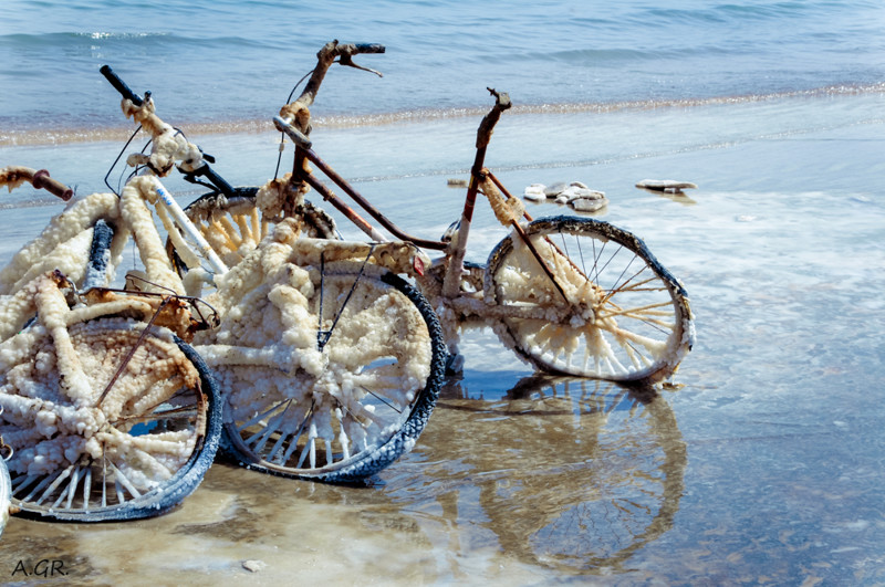 Велосипеды на Мертвом море