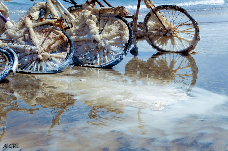 Велосипеды на Мертвом море