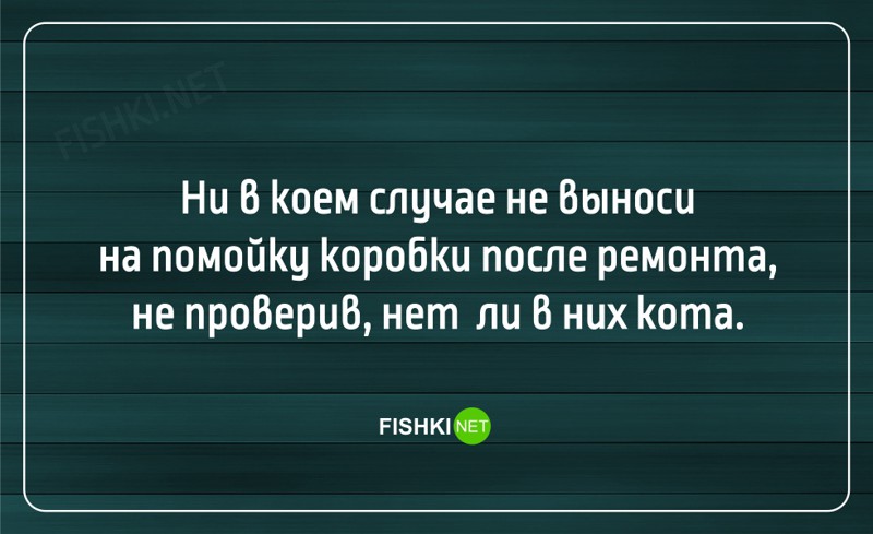 21 жизненная открытка для отличного настроения 