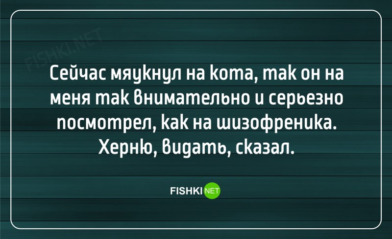 21 жизненная открытка для отличного настроения 