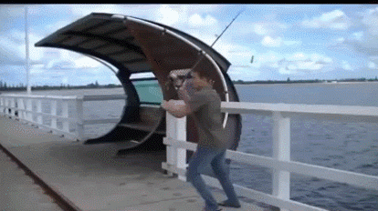 Увлекательная рыбалка