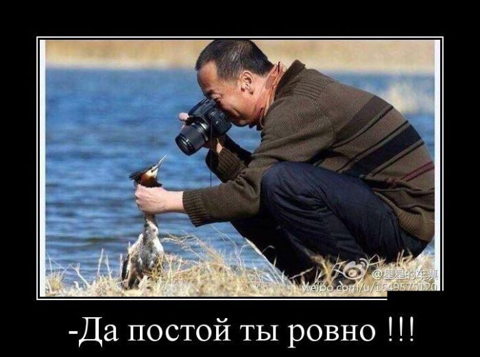 Пятничная подборка демотиваторов  