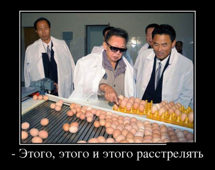 Пятничная подборка демотиваторов  