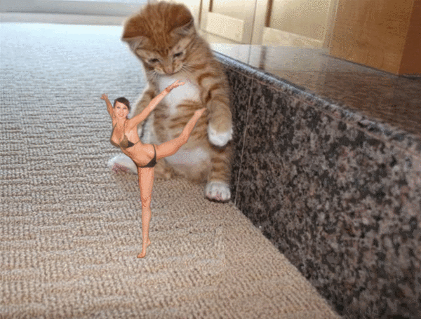 Кошки мышки