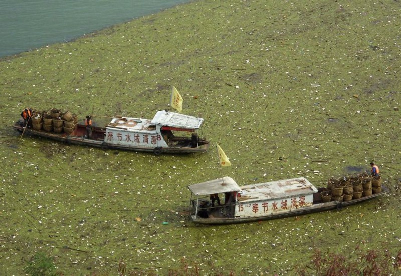 2. Рабочие вылавливают плавающий мусор из реки Янцзы