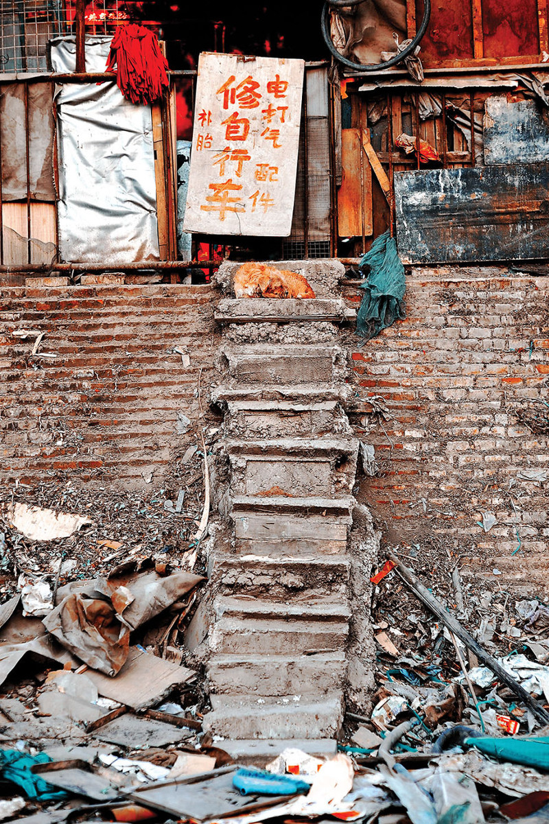 29. Дом уличной собаки - куча мусора - в Северном Китае