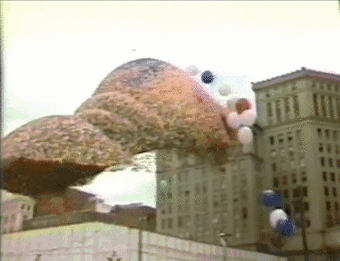 Гифки дня Гифки дня