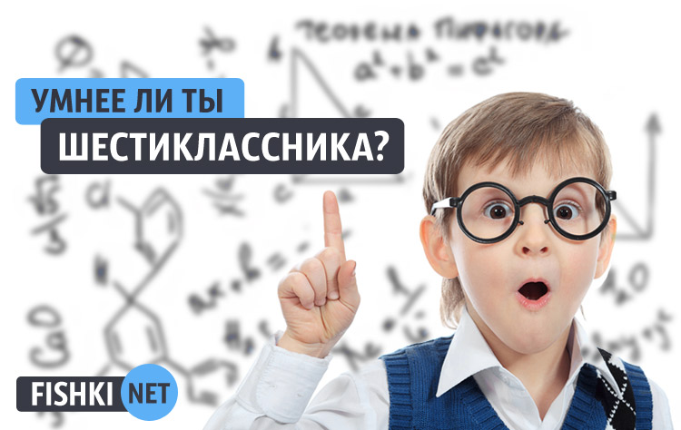 Тест: Умнее ли ты шестиклассника?