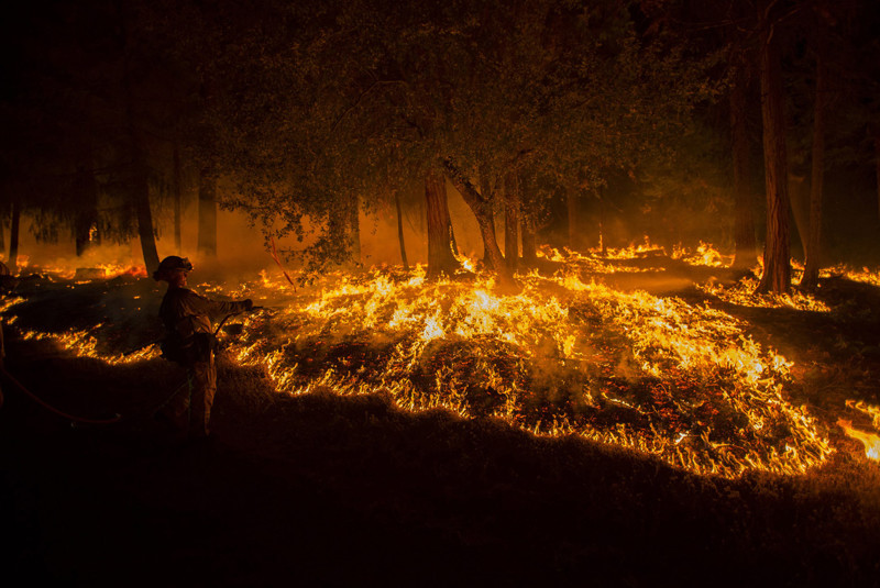 В Калифорнии горят автомобили, лесные пожары добрались до дорог! 