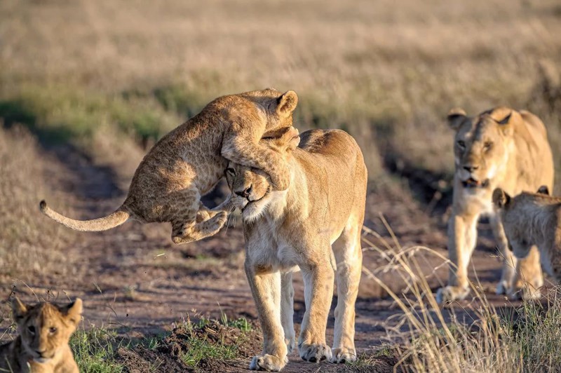 15 лучших снимков 2015 года по версии National Geographic