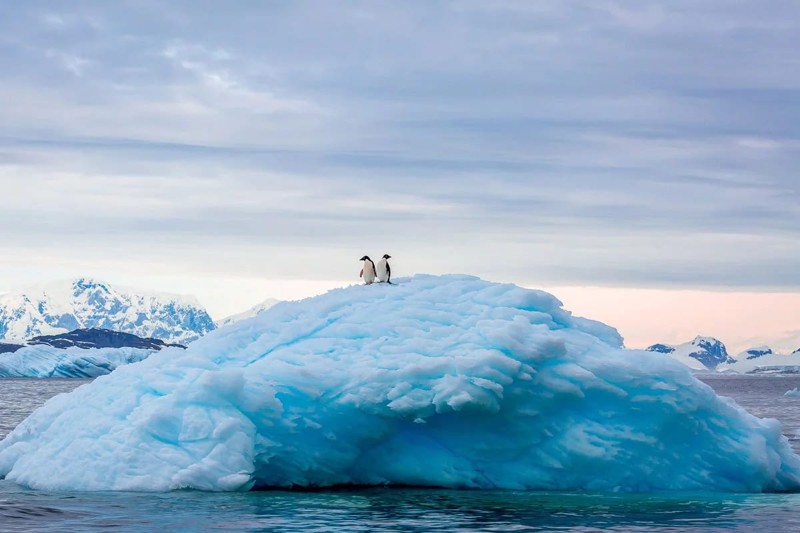 15 лучших снимков 2015 года по версии National Geographic