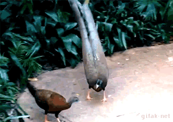 Когда ты не в духе