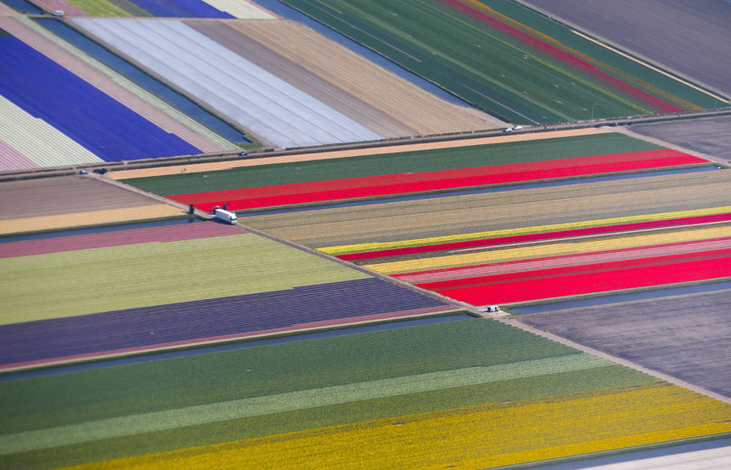 Сад Европы в Лиссе, Нидерланды, 15 апреля 2015. 