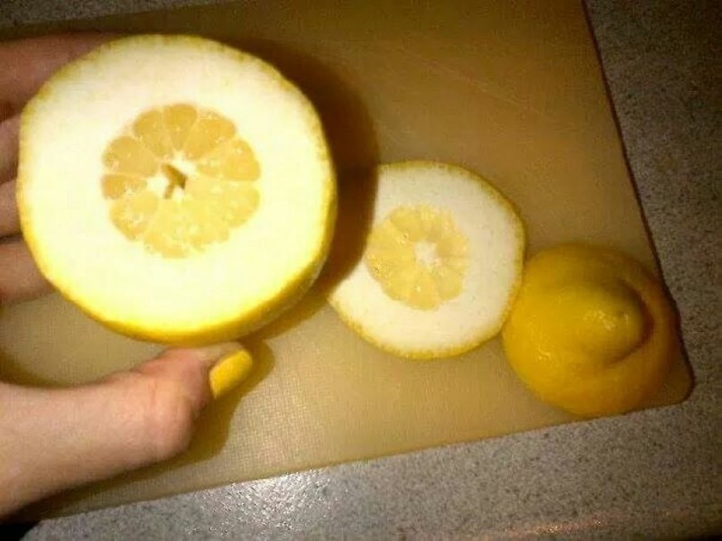 7. Самый худший в мире лимон.