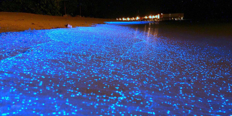 21. Светящийся фитопланктон на побережье острова Вааду, Мальдивы.