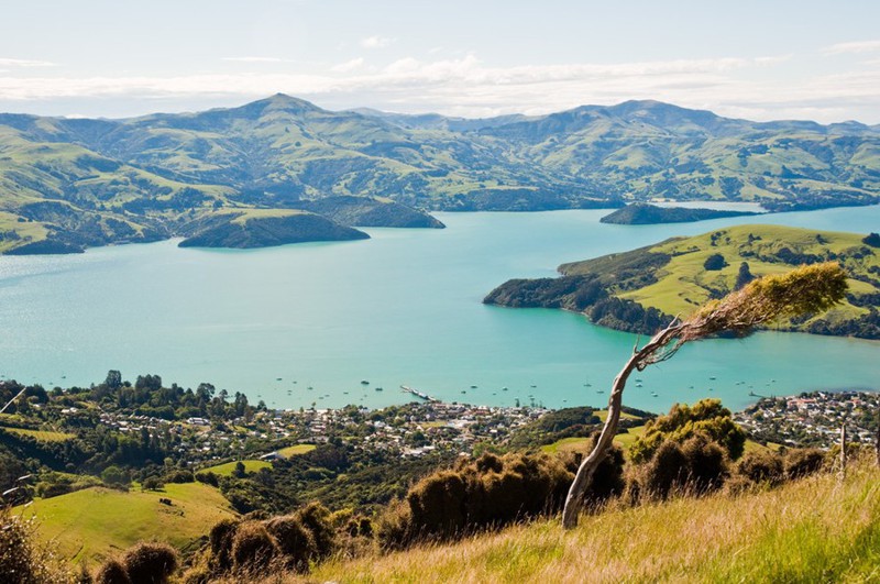 25 удивительных факта о Новой Зеландии