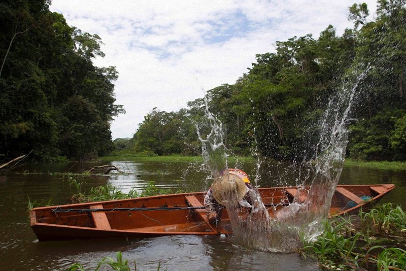 Гигантская арапайма — королева Амазонки